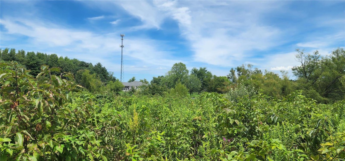 85 Maggie Lane, Makanda, Illinois 62958, ,Land,For Sale,Maggie,MAR23048502