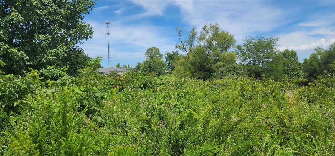 85 Maggie Lane, Makanda, Illinois 62958, ,Land,For Sale,Maggie,MAR23048502