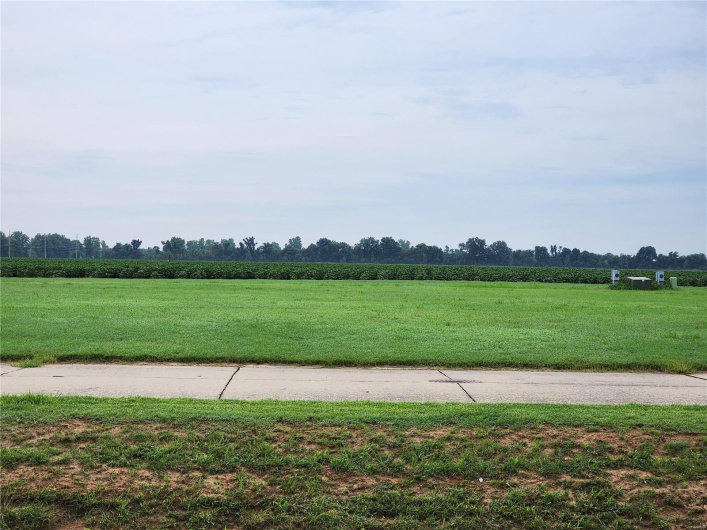 807 Bollweevil Blvd, Sikeston, Missouri 63801, ,Land,For Sale,Bollweevil Blvd,MAR23048629
