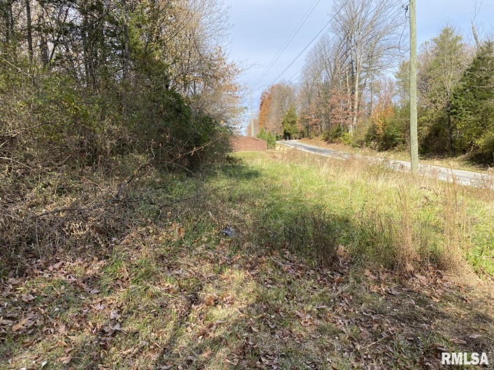 00 Wood Road, Murphysboro, Illinois 62966, 0 , 0 ,0,Land,For Sale,Wood,0,RMAEB450194