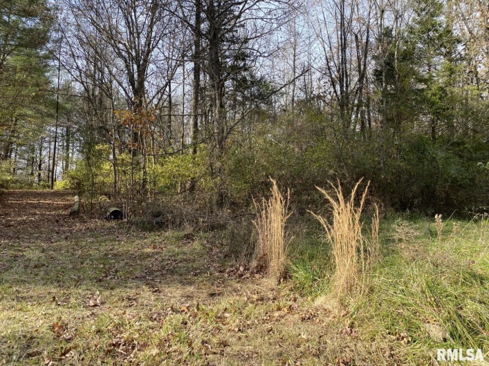 00 Wood Road, Murphysboro, Illinois 62966, 0 , 0 ,0,Land,For Sale,Wood,0,RMAEB450194