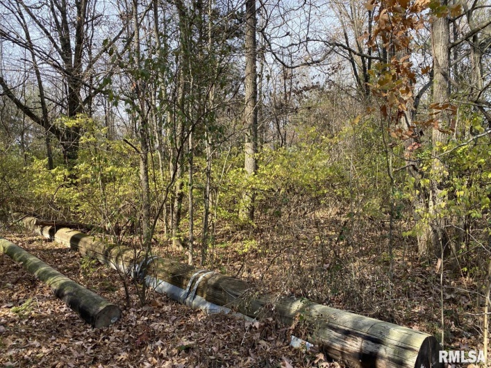00 Wood Road, Murphysboro, Illinois 62966, 0 , 0 ,0,Land,For Sale,Wood,0,RMAEB450194