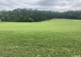 0000 LEE Lane, Murphysboro, Illinois 62966, 0 , 0 ,0,Land,For Sale,LEE,0,RMAEB450258