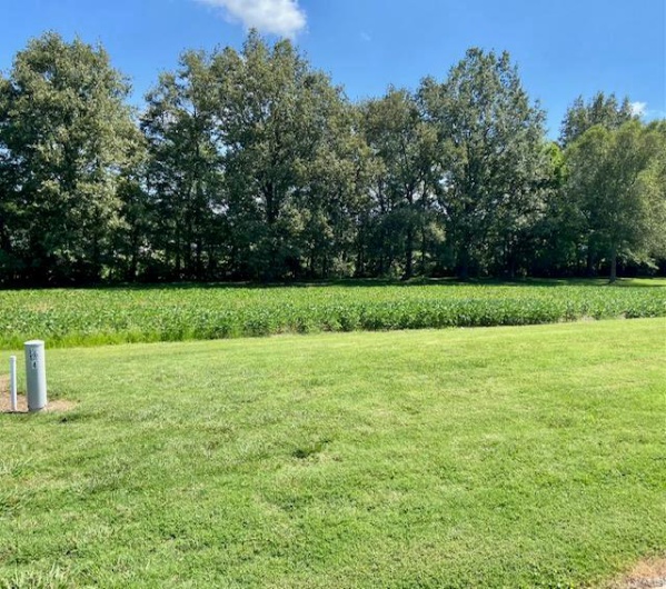 25 Brookfield, Dexter, Missouri 63841, ,Land,For Sale,Brookfield,MAR23052824