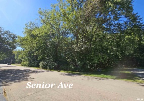 TBD Senior Avenue, Vienna, Illinois 62995, 0 , 0 ,0,Land,For Sale,Senior,0,RMAEB450466