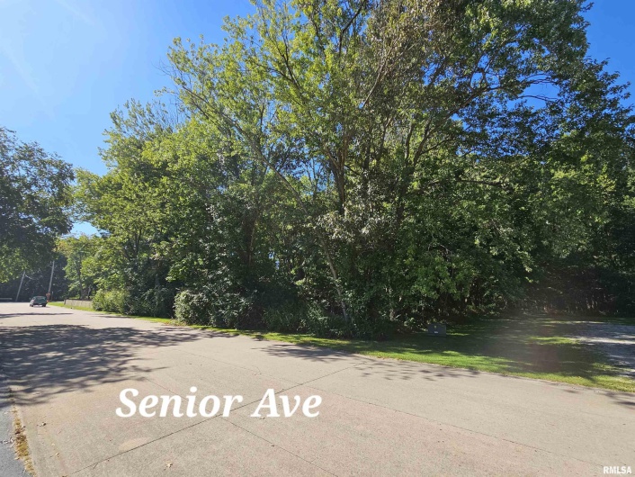 TBD Senior Avenue, Vienna, Illinois 62995, 0 , 0 ,0,Land,For Sale,Senior,0,RMAEB450466