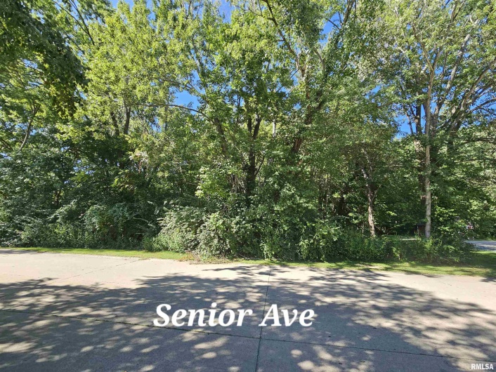 TBD Senior Avenue, Vienna, Illinois 62995, 0 , 0 ,0,Land,For Sale,Senior,0,RMAEB450466
