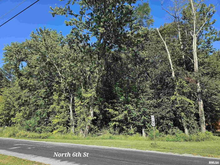 TBD 6TH Street, Vienna, Illinois 62995, 0 , 0 ,0,Land,For Sale,6TH,0,RMAEB450467