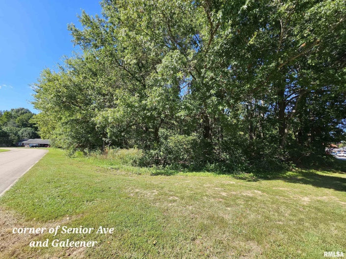TBD Galeener Street, Vienna, Illinois 62995, 0 , 0 ,0,Land,For Sale,Galeener,0,RMAEB450468