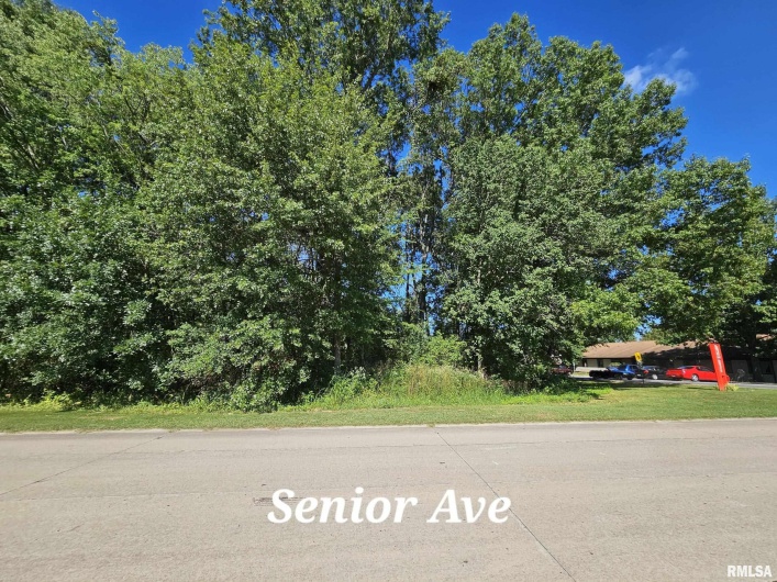 TBD Galeener Street, Vienna, Illinois 62995, 0 , 0 ,0,Land,For Sale,Galeener,0,RMAEB450468