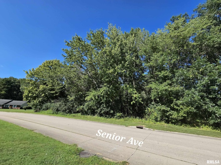 TBD Galeener Street, Vienna, Illinois 62995, 0 , 0 ,0,Land,For Sale,Galeener,0,RMAEB450468