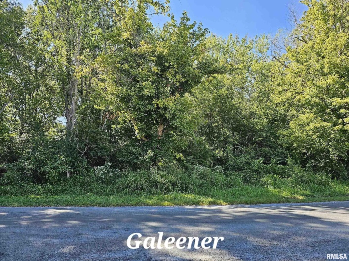 TBD Galeener Street, Vienna, Illinois 62995, 0 , 0 ,0,Land,For Sale,Galeener,0,RMAEB450468