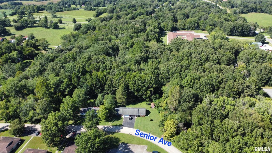 000 Galeener Street, Vienna, Illinois 62995, 0 , 0 ,0,Land,For Sale,Galeener,0,RMAEB450469