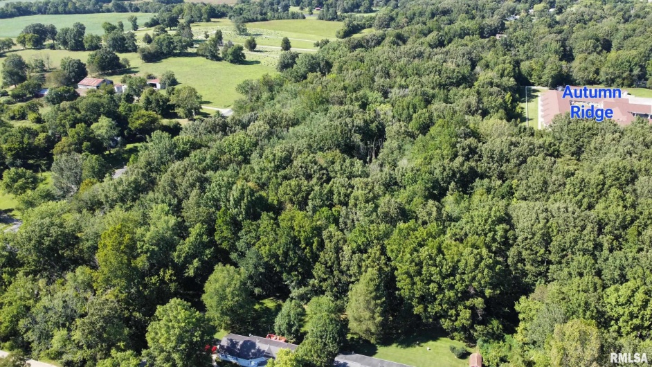 000 Galeener Street, Vienna, Illinois 62995, 0 , 0 ,0,Land,For Sale,Galeener,0,RMAEB450469