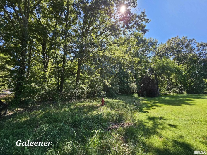 000 Galeener Street, Vienna, Illinois 62995, 0 , 0 ,0,Land,For Sale,Galeener,0,RMAEB450469
