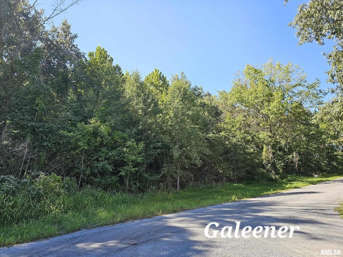 000 Galeener Street, Vienna, Illinois 62995, 0 , 0 ,0,Land,For Sale,Galeener,0,RMAEB450469