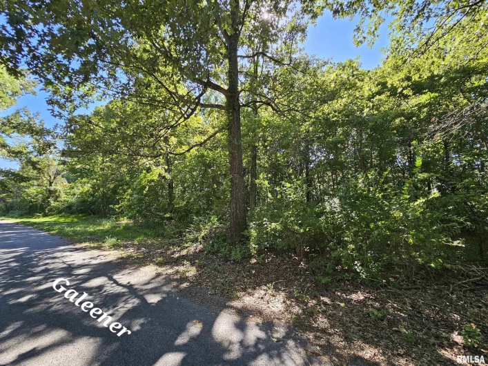 000 Galeener Street, Vienna, Illinois 62995, 0 , 0 ,0,Land,For Sale,Galeener,0,RMAEB450469