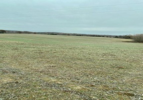 267 County Rd., Puxico, Missouri 63960, ,Farm,For Sale,County Rd.,MAR23054870