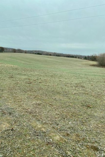 267 County Rd., Puxico, Missouri 63960, ,Farm,For Sale,County Rd.,MAR23054870