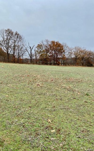 267 County Rd., Puxico, Missouri 63960, ,Farm,For Sale,County Rd.,MAR23054870