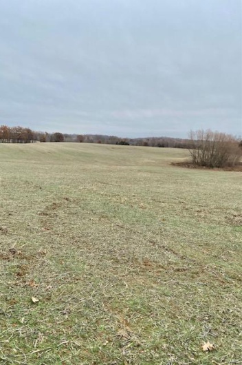 267 County Rd., Puxico, Missouri 63960, ,Farm,For Sale,County Rd.,MAR23054870