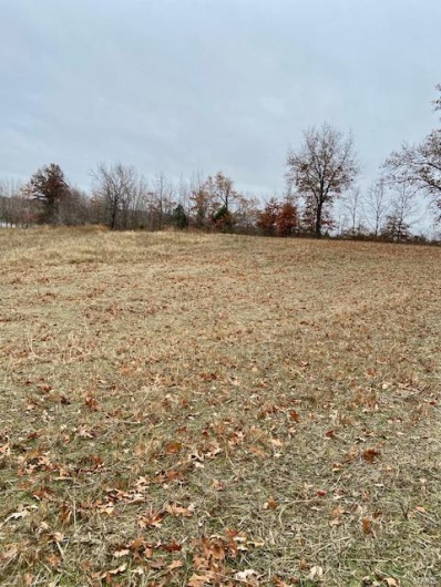 267 County Rd., Puxico, Missouri 63960, ,Farm,For Sale,County Rd.,MAR23054870