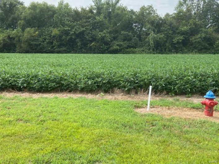 0 Timber Creek Rd., Dexter, Missouri 63841, ,Land,For Sale,Timber Creek Rd.,MAR22066139