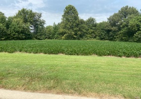 0 Brookfield Drive Drive, Dexter, Missouri 63841, ,Land,For Sale,Brookfield Drive,MAR22066147