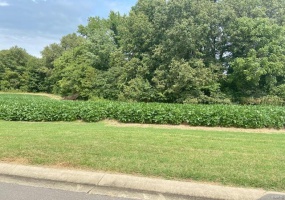 0 Brookfield Drive, Dexter, Missouri 63841, ,Land,For Sale,Brookfield Drive,MAR22066092