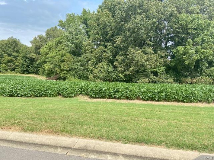 0 Brookfield Drive, Dexter, Missouri 63841, ,Land,For Sale,Brookfield Drive,MAR22066092