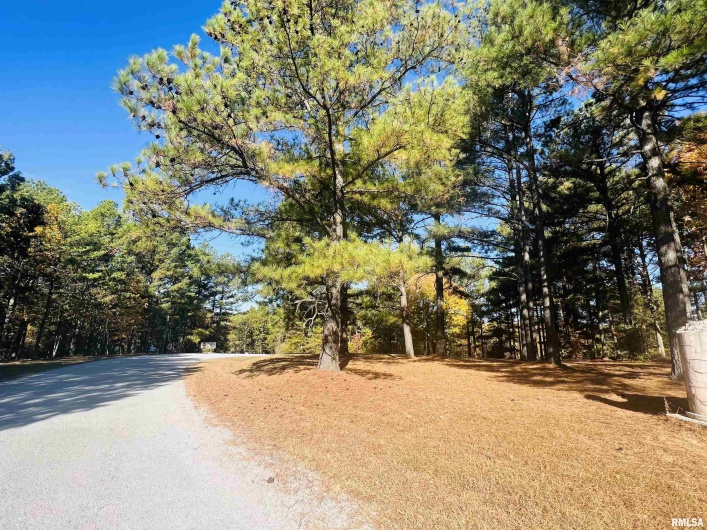 Lot 39 & 40 Luxor Landing Lane, Goreville, Illinois 62939, 0 , 0 ,0,Land,For Sale,Luxor Landing,0,RMAEB450675
