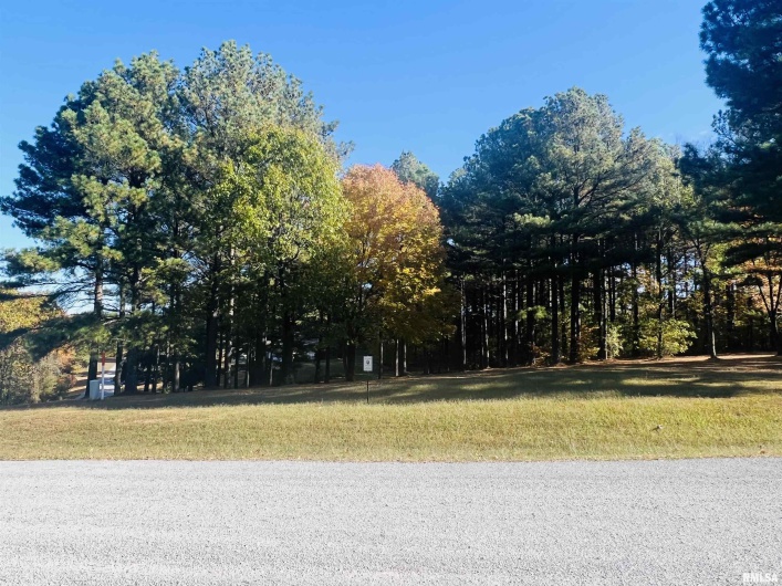 Lot 39 & 40 Luxor Landing Lane, Goreville, Illinois 62939, 0 , 0 ,0,Land,For Sale,Luxor Landing,0,RMAEB450675