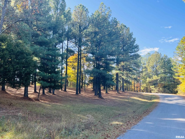 Lot 39 & 40 Luxor Landing Lane, Goreville, Illinois 62939, 0 , 0 ,0,Land,For Sale,Luxor Landing,0,RMAEB450675