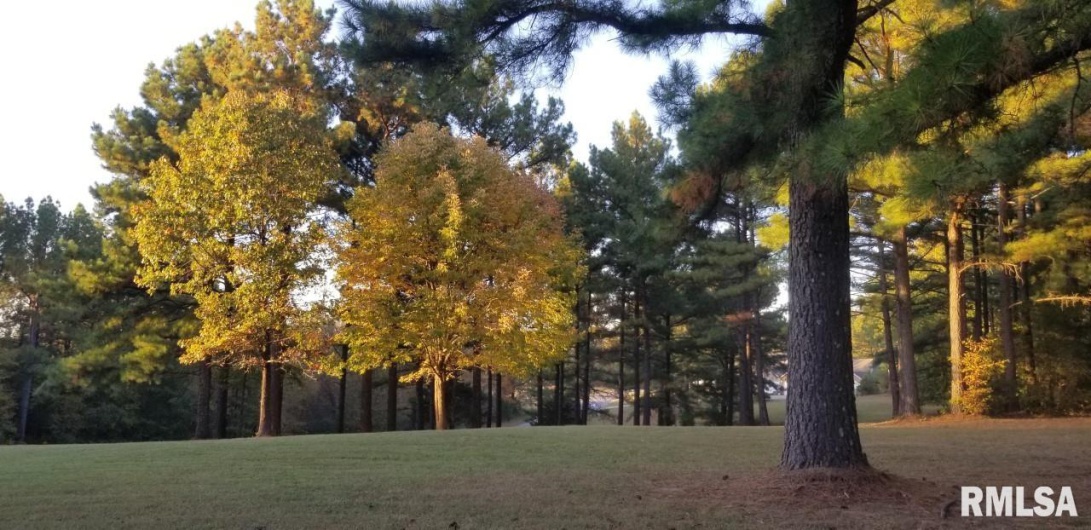Lot 39 & 40 Luxor Landing Lane, Goreville, Illinois 62939, 0 , 0 ,0,Land,For Sale,Luxor Landing,0,RMAEB450675