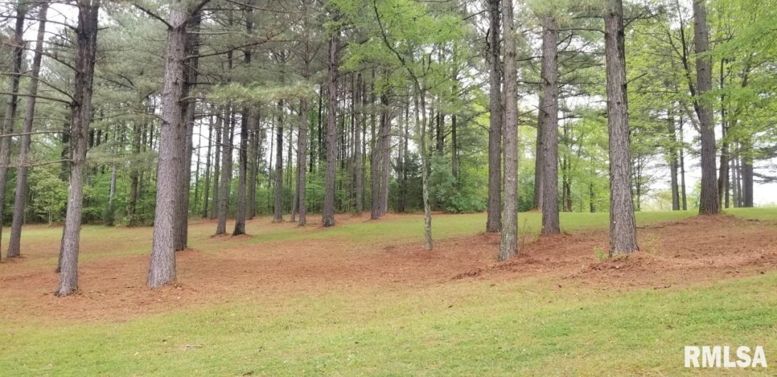 Lot 39 & 40 Luxor Landing Lane, Goreville, Illinois 62939, 0 , 0 ,0,Land,For Sale,Luxor Landing,0,RMAEB450675