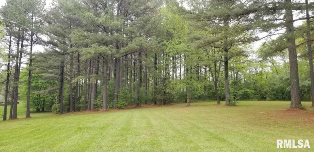 Lot 39 & 40 Luxor Landing Lane, Goreville, Illinois 62939, 0 , 0 ,0,Land,For Sale,Luxor Landing,0,RMAEB450675