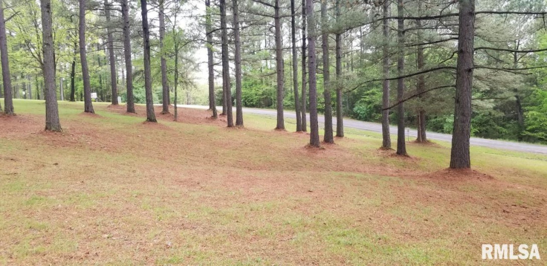 Lot 39 & 40 Luxor Landing Lane, Goreville, Illinois 62939, 0 , 0 ,0,Land,For Sale,Luxor Landing,0,RMAEB450675