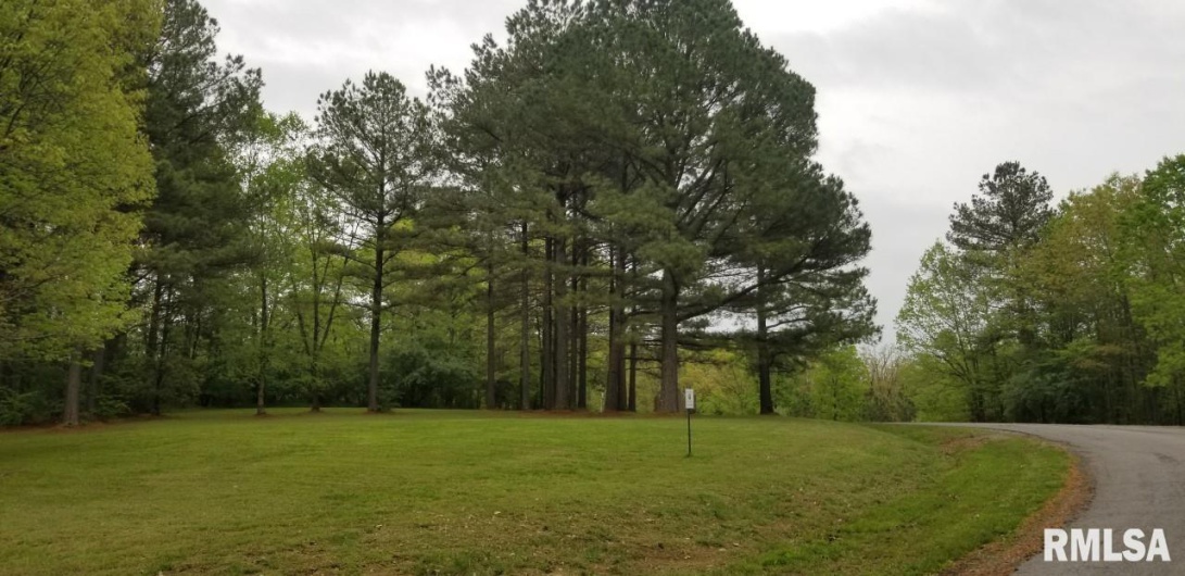 Lot 39 & 40 Luxor Landing Lane, Goreville, Illinois 62939, 0 , 0 ,0,Land,For Sale,Luxor Landing,0,RMAEB450675