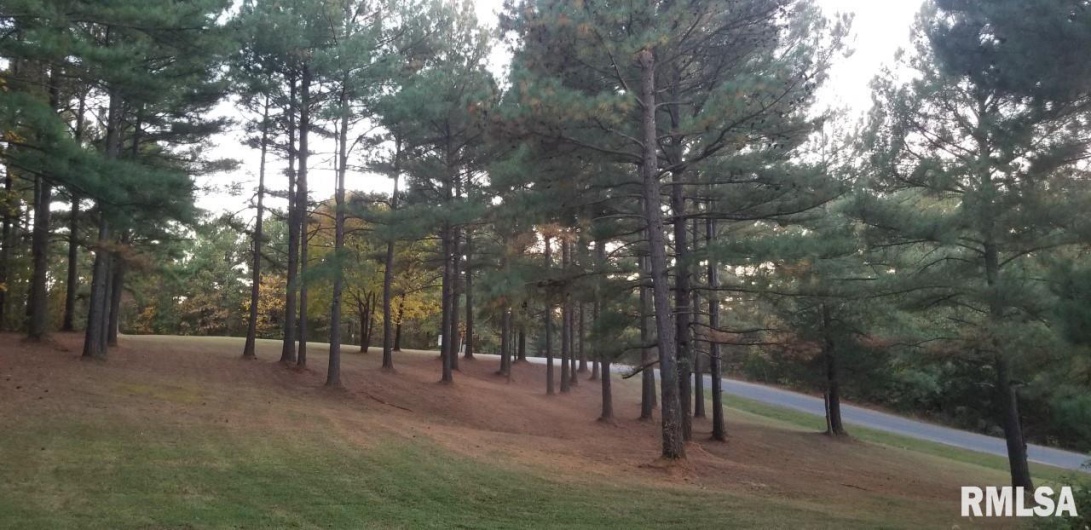 Lot 39 & 40 Luxor Landing Lane, Goreville, Illinois 62939, 0 , 0 ,0,Land,For Sale,Luxor Landing,0,RMAEB450675