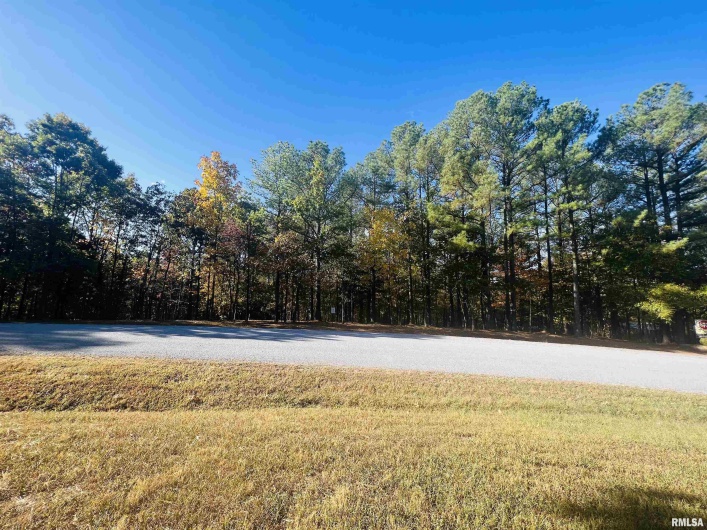 Lot 41 Luxor Landing Lane, Goreville, Illinois 62939, 0 , 0 ,0,Land,For Sale,Luxor Landing,0,RMAEB450676