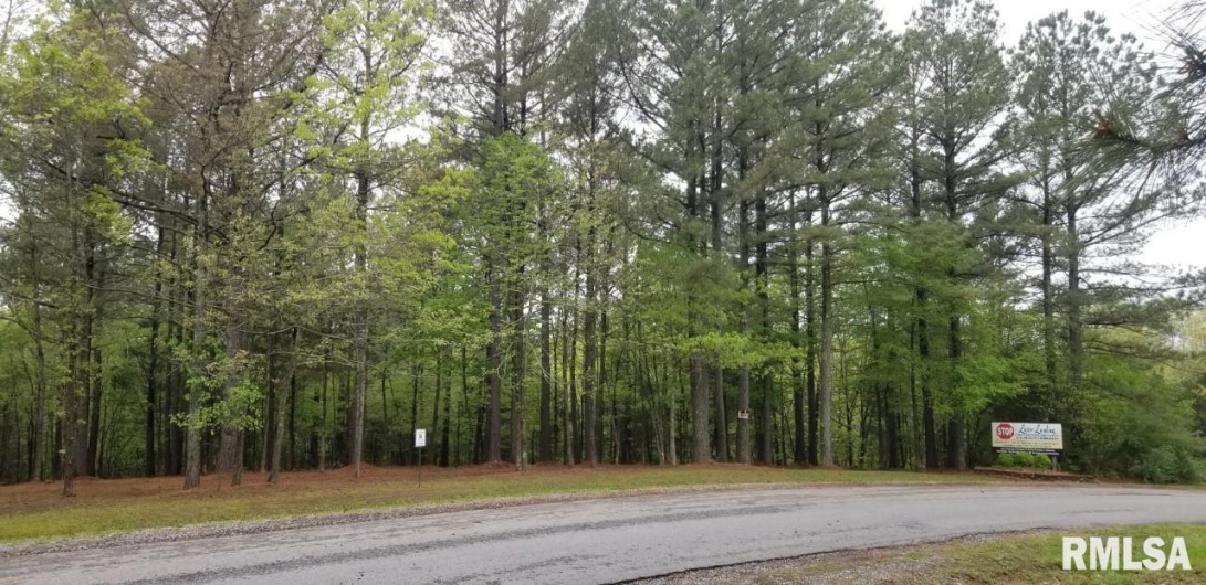 Lot 41 Luxor Landing Lane, Goreville, Illinois 62939, 0 , 0 ,0,Land,For Sale,Luxor Landing,0,RMAEB450676