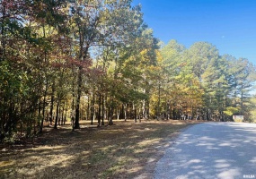 Lot 41 Luxor Landing Lane, Goreville, Illinois 62939, 0 , 0 ,0,Land,For Sale,Luxor Landing,0,RMAEB450676