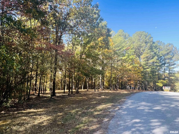 Lot 41 Luxor Landing Lane, Goreville, Illinois 62939, 0 , 0 ,0,Land,For Sale,Luxor Landing,0,RMAEB450676