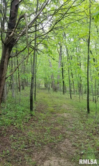 Lot 41 Luxor Landing Lane, Goreville, Illinois 62939, 0 , 0 ,0,Land,For Sale,Luxor Landing,0,RMAEB450676