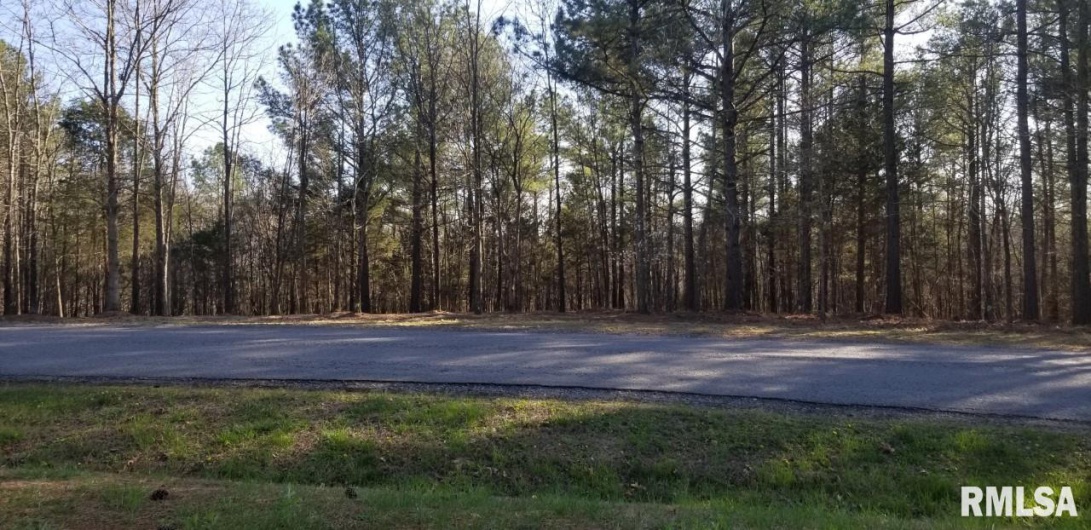 Lot 41 Luxor Landing Lane, Goreville, Illinois 62939, 0 , 0 ,0,Land,For Sale,Luxor Landing,0,RMAEB450676