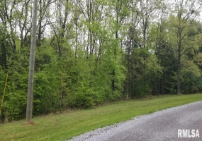 Lot 80 & 81 Saluki Way, Goreville, Illinois 62939, 0 , 0 ,0,Land,For Sale,Saluki,0,RMAEB450677
