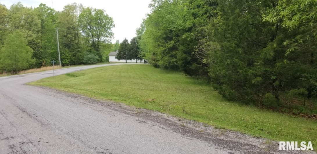 Lot 82 & 83 Saluki Way, Goreville, Illinois 62939, 0 , 0 ,0,Land,For Sale,Saluki,0,RMAEB450681