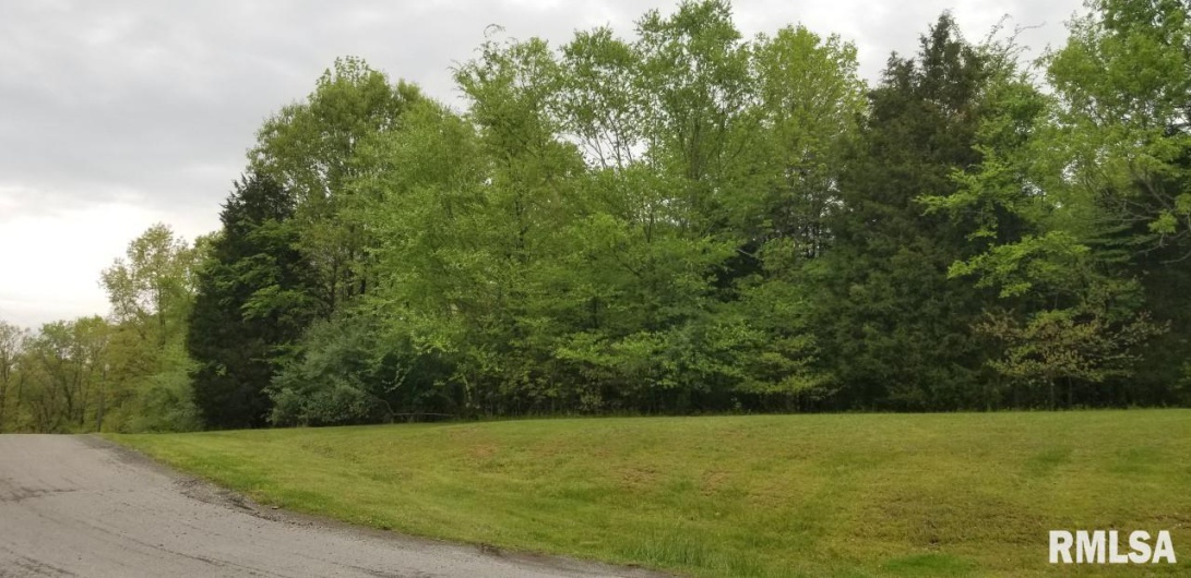 Lot 82 & 83 Saluki Way, Goreville, Illinois 62939, 0 , 0 ,0,Land,For Sale,Saluki,0,RMAEB450681