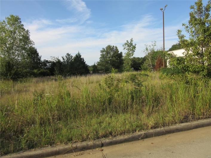 0 Eugene Blvd., Poplar Bluff, Missouri 63901, ,Commercial Sale,For Sale,Eugene Blvd.,MAR21063454