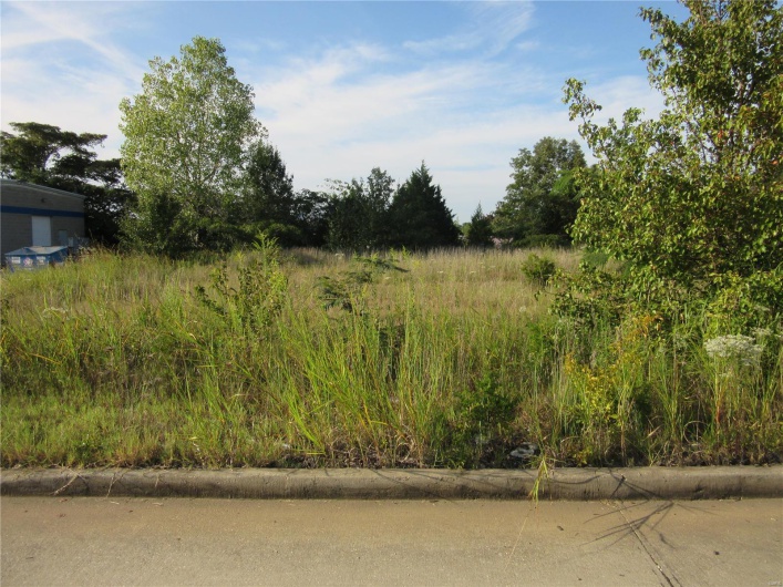 0 Eugene Blvd., Poplar Bluff, Missouri 63901, ,Commercial Sale,For Sale,Eugene Blvd.,MAR21063454